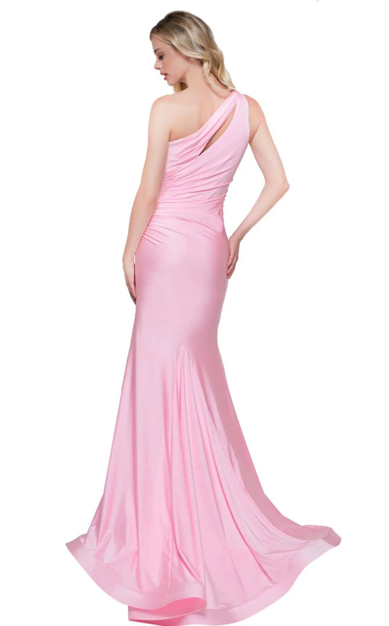 Colors Dress 2101 Dress